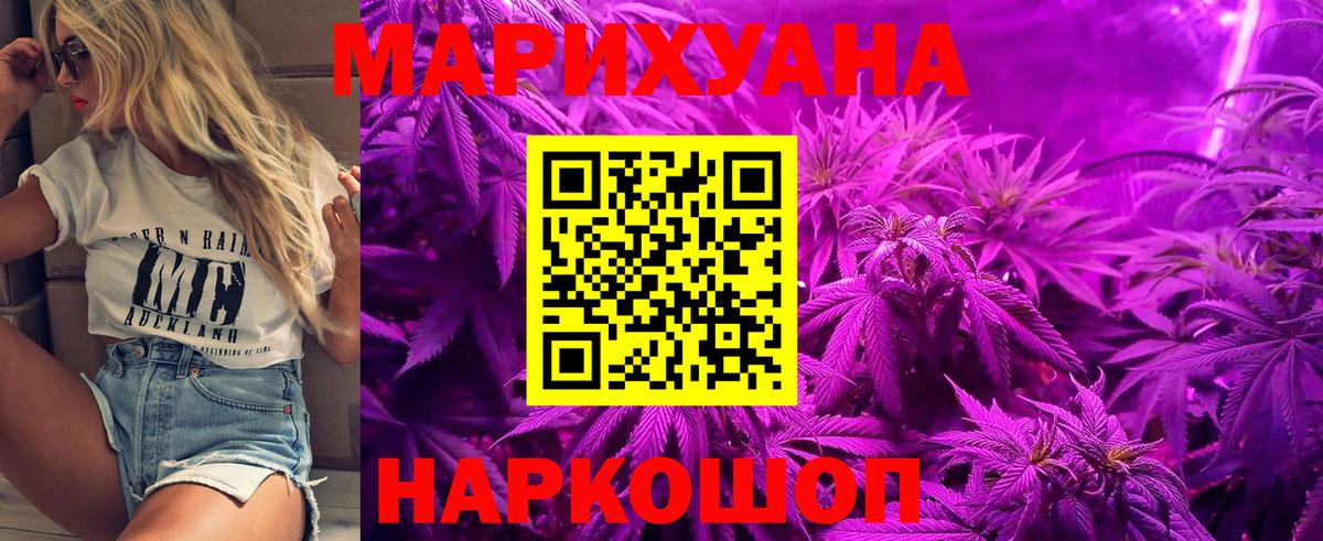 Конопля OG Kush  Бошки Шишки планчик  Майский  Каннабис OG Kush  Вход с VPN 